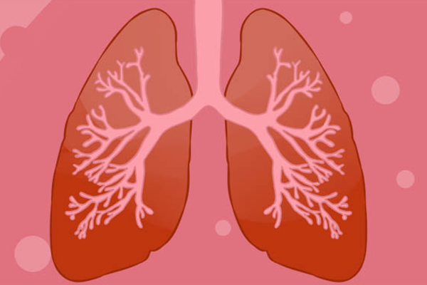 �ν�˳�ʲô�� �ν�˳�ʲôʳ��Ч����